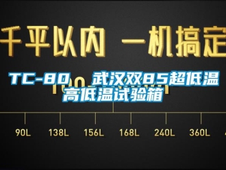 常見問題TC-80  武漢雙85超低溫高低溫試驗箱