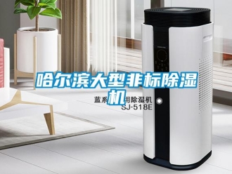 行業新聞哈爾濱大型非標除濕機