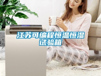 知識百科江蘇可編程恒溫恒濕試驗箱