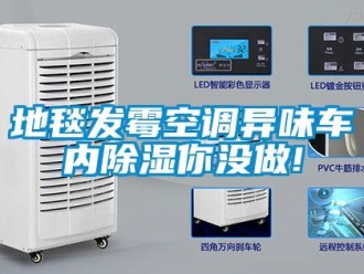 企業新聞地毯發霉空調異味車內除濕你沒做!