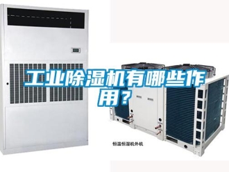 企業新聞工業除濕機有哪些作用？