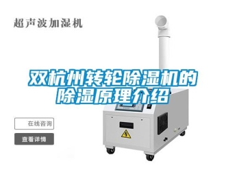 常見問題雙杭州轉(zhuǎn)輪除濕機的除濕原理介紹
