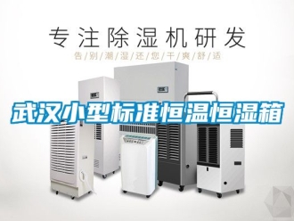 知識百科武漢小型標準恒溫恒濕箱