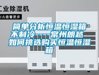 知識百科簡單分析恒溫恒濕箱不制冷----常州朗越 如何挑選購買恒溫恒濕箱