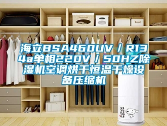 知識百科海立BSA460UV／R134a單相220V／50HZ除濕機空調烘干恒溫干燥設備壓縮機