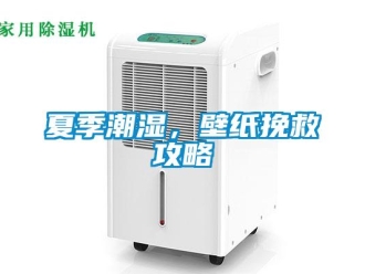 知識百科夏季潮濕，壁紙挽救攻略