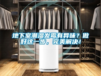 企業新聞地下室潮濕發霉有異味？做好這一步，完美解決！