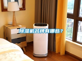 行業新聞除濕機名牌有哪些？