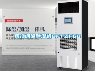 行業(yè)新聞風(fēng)冷調(diào)溫除濕機(jī)CFTZF60