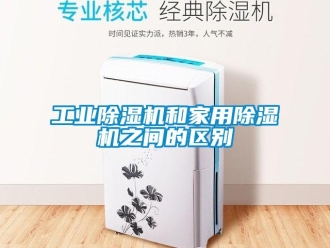 企業(yè)新聞工業(yè)除濕機和家用除濕機之間的區(qū)別