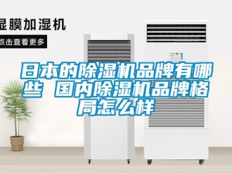 企業新聞日本的除濕機品牌有哪些 國內除濕機品牌格局怎么樣