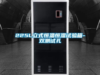 常見問題225L立式恒溫恒濕試驗箱-雙測試孔