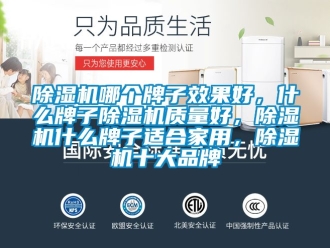 企業(yè)新聞除濕機(jī)哪個牌子效果好，什么牌子除濕機(jī)質(zhì)量好，除濕機(jī)什么牌子適合家用，除濕機(jī)十大品牌