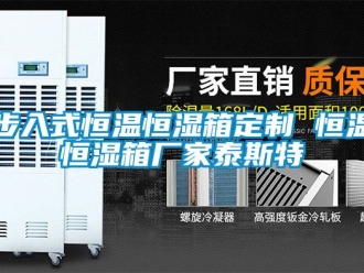 知識(shí)百科步入式恒溫恒濕箱定制 恒溫恒濕箱廠家泰斯特