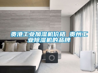 常見問題貴港工業加濕機價格 貴州工業除濕機的品牌