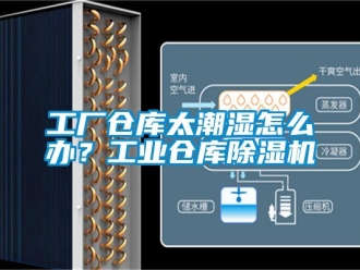 常見問題工廠倉庫太潮濕怎么辦？工業倉庫除濕機