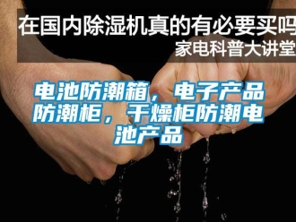 企業(yè)新聞電池防潮箱，電子產(chǎn)品防潮柜，干燥柜防潮電池產(chǎn)品