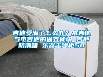 常見問題吉他受潮了怎么辦？木吉他與電吉他的保養秘訣 吉他防潮箱 樂器干燥柜50