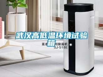 常見問題武漢高低溫環境試驗箱