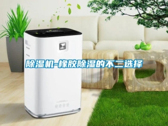 企業新聞除濕機-橡膠除濕的不二選擇