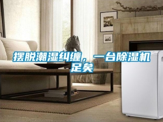 常見問題擺脫潮濕糾纏，一臺除濕機足矣