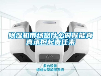 企業新聞除濕機市場您什么時候能真真承擔起責任來