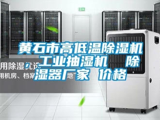 企業(yè)新聞黃石市高低溫除濕機(jī)，工業(yè)抽濕機(jī)  除濕器廠家 價格