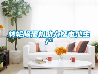 常見問題轉(zhuǎn)輪除濕機助力鋰電池生產(chǎn)