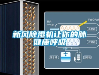 知識百科新風除濕機讓你的肺健康呼吸