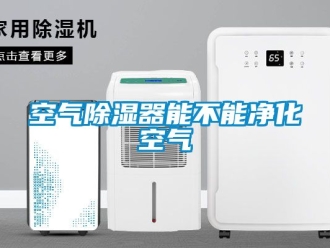 行業(yè)新聞空氣除濕器能不能凈化空氣