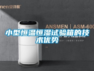 知識百科小型恒溫恒濕試驗箱的技術(shù)優(yōu)勢