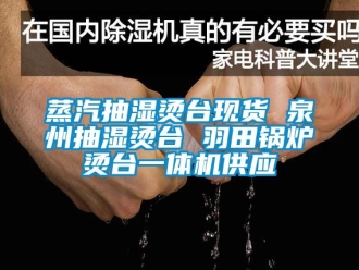 企業(yè)新聞?wù)羝闈駹C臺(tái)現(xiàn)貨 泉州抽濕燙臺(tái) 羽田鍋爐燙臺(tái)一體機(jī)供應(yīng)