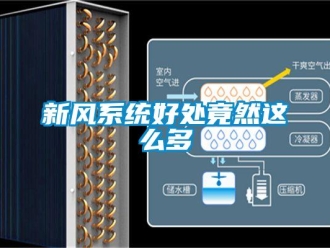 知識百科新風(fēng)系統(tǒng)好處竟然這么多