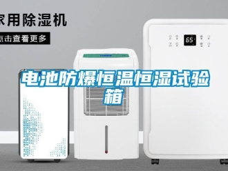 知識百科電池防爆恒溫恒濕試驗(yàn)箱