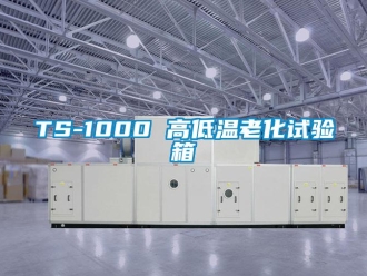 常見問題TS-1000 高低溫老化試驗箱