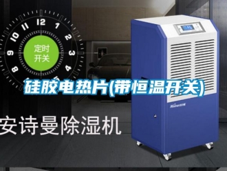 知識(shí)百科硅膠電熱片(帶恒溫開關(guān))