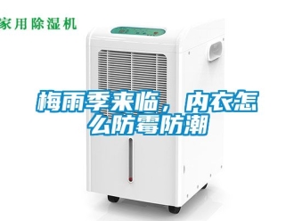 常見(jiàn)問(wèn)題梅雨季來(lái)臨，內(nèi)衣怎么防霉防潮