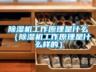 行業新聞除濕機工作原理是什么（除濕機工作原理是什么樣的）