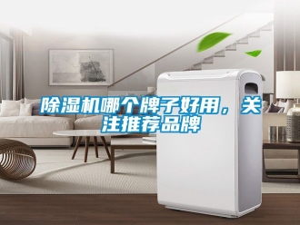 企業新聞除濕機哪個牌子好用，關注推薦品牌