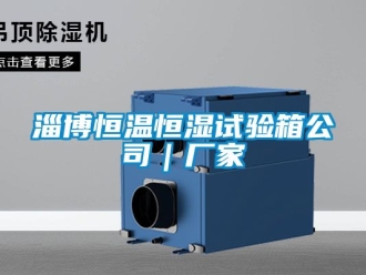 知識百科淄博恒溫恒濕試驗箱公司｜廠家