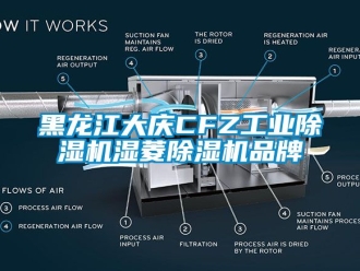 常見問題黑龍江大慶CFZ工業除濕機濕菱除濕機品牌