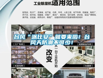 知識百科臺風(fēng)“派比安”就要來啦！臺風(fēng)天防潮不可少！