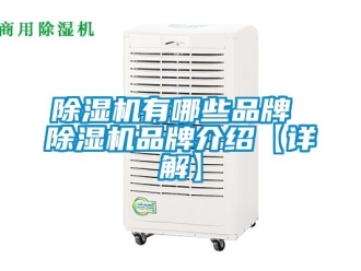 企業(yè)新聞除濕機(jī)有哪些品牌 除濕機(jī)品牌介紹【詳解】