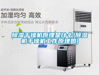 企業新聞除濕干燥機原理是什么(除濕機干燥機工作原理圖)