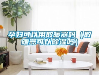 行業(yè)新聞孕婦可以用取暖器嗎（取暖器可以除濕嗎）