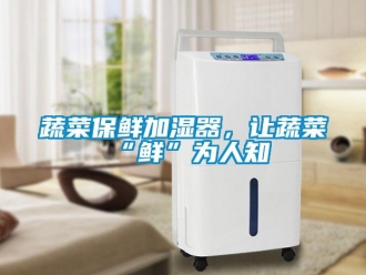 知識百科蔬菜保鮮加濕器，讓蔬菜“鮮”為人知