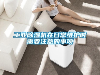 企業(yè)新聞工業(yè)除濕機(jī)在日常維護(hù)時需要注意的事項