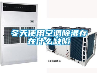 企業(yè)新聞冬天使用空調(diào)除濕存在什么缺陷