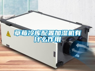 企業新聞草莓冷庫配置加濕機有什么作用