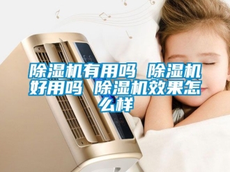 行業(yè)新聞除濕機有用嗎 除濕機好用嗎 除濕機效果怎么樣